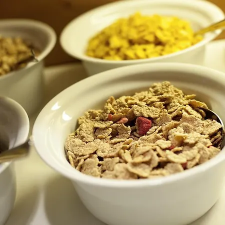 加尼阿尔伯纳酒店 4* 圣安东阿尔贝格