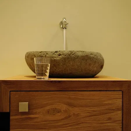 加尼阿尔伯纳酒店