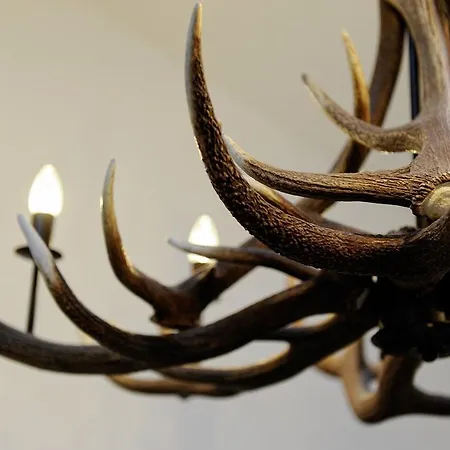 加尼阿尔伯纳酒店 住宿加早餐酒店 4*